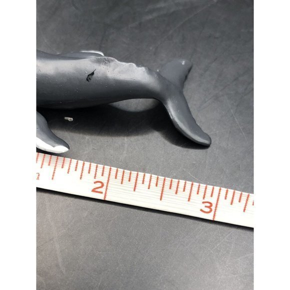 SAFARI LTD LOT OF 4 Whale TOYS FIGURES Whale Shark, Humpback, Scapa & Sarcoprion - Picture 5 of 5